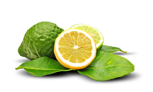 Bergamot