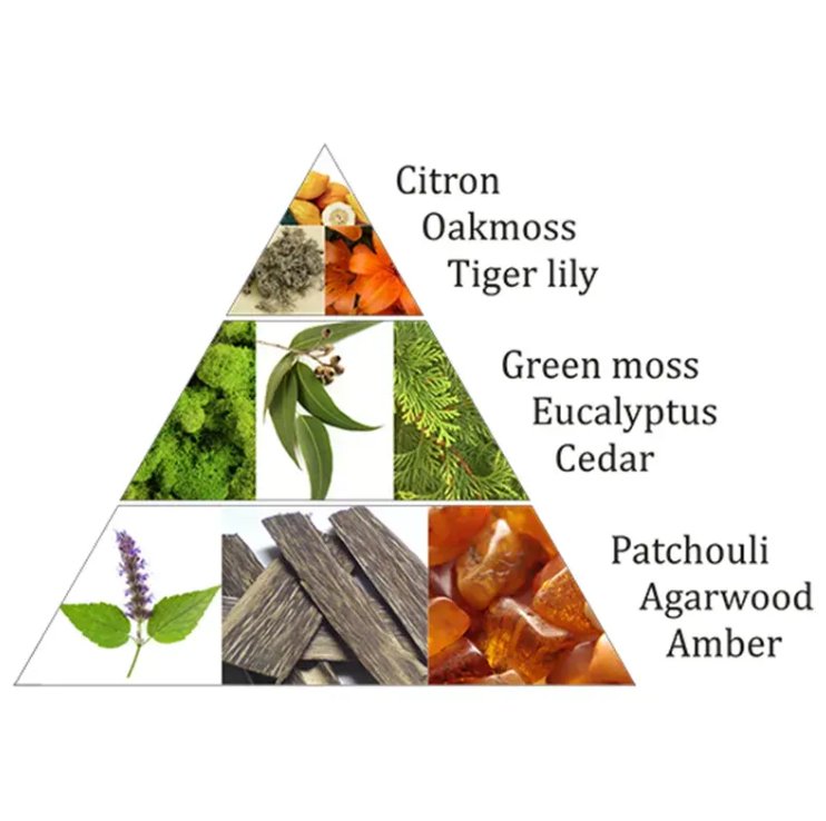 vonné cihličky forest dew